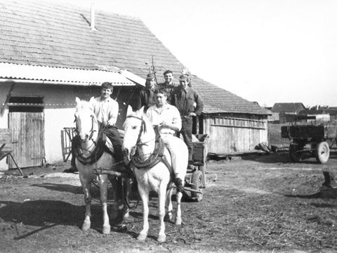 Foto 12